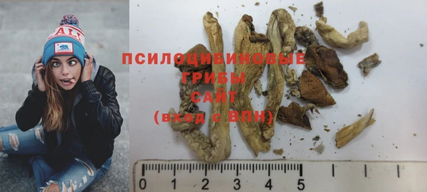 прущая мука Абаза