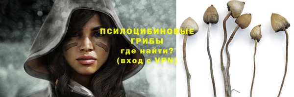 прущая мука Абаза
