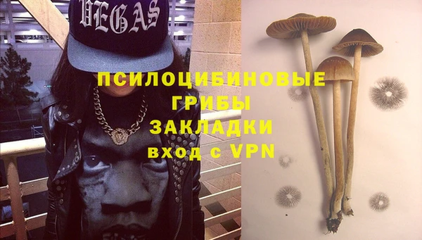 прущий лед Михайлов