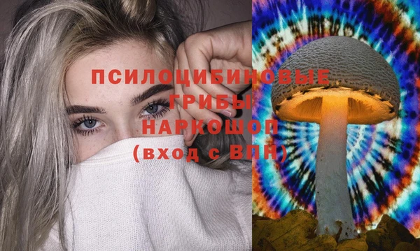 прущий лед Михайлов