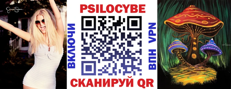 как найти закладки  Эртиль  мега рабочий сайт  Псилоцибиновые грибы GOLDEN TEACHER 